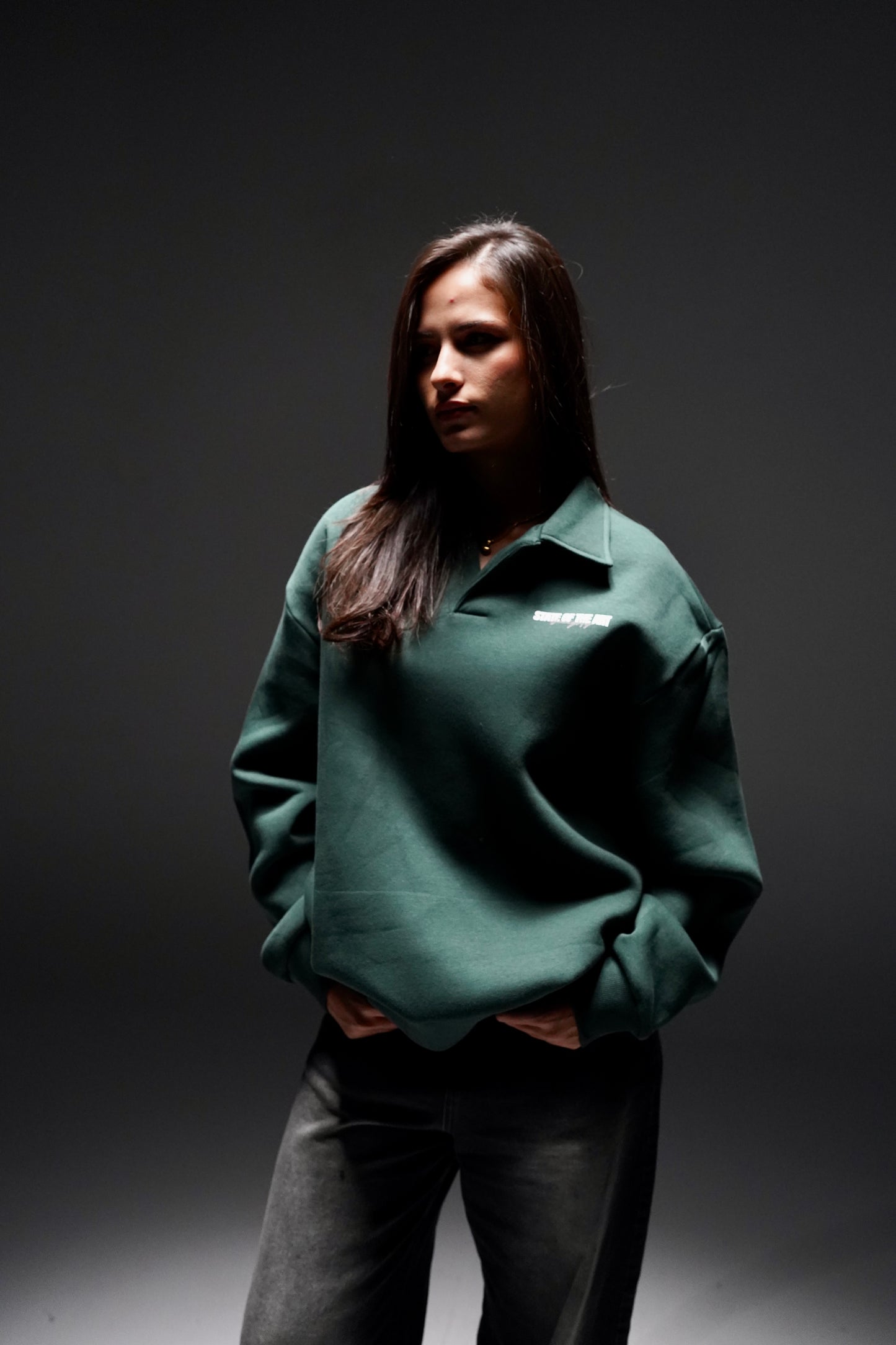 Polo sweatshirts bundle